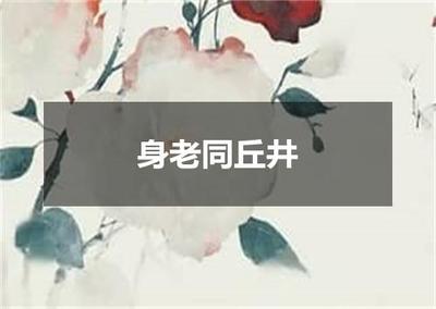 身老同丘井 王维《春园即事》出处、翻译与赏析